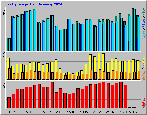 Daily usage for January 2024