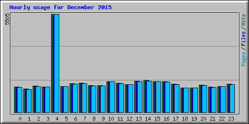 Hourly usage for December 2015