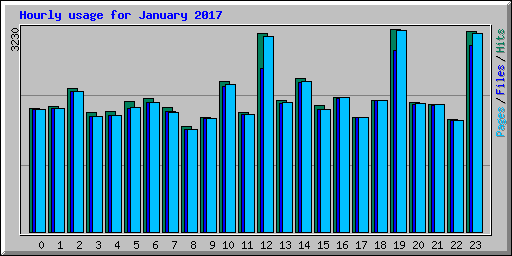 Hourly usage for January 2017