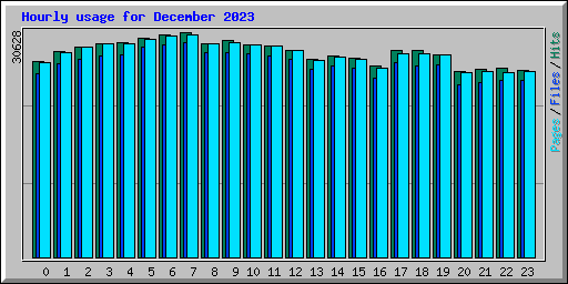 Hourly usage for December 2023