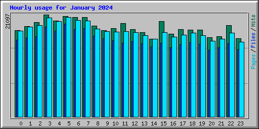 Hourly usage for January 2024