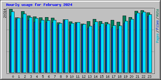 Hourly usage for February 2024